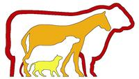Animal Clinic, LLC Logo